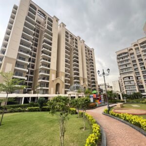 𝐄𝐋 𝐒𝐩𝐚𝐳𝐢𝐚 , Zirapkur